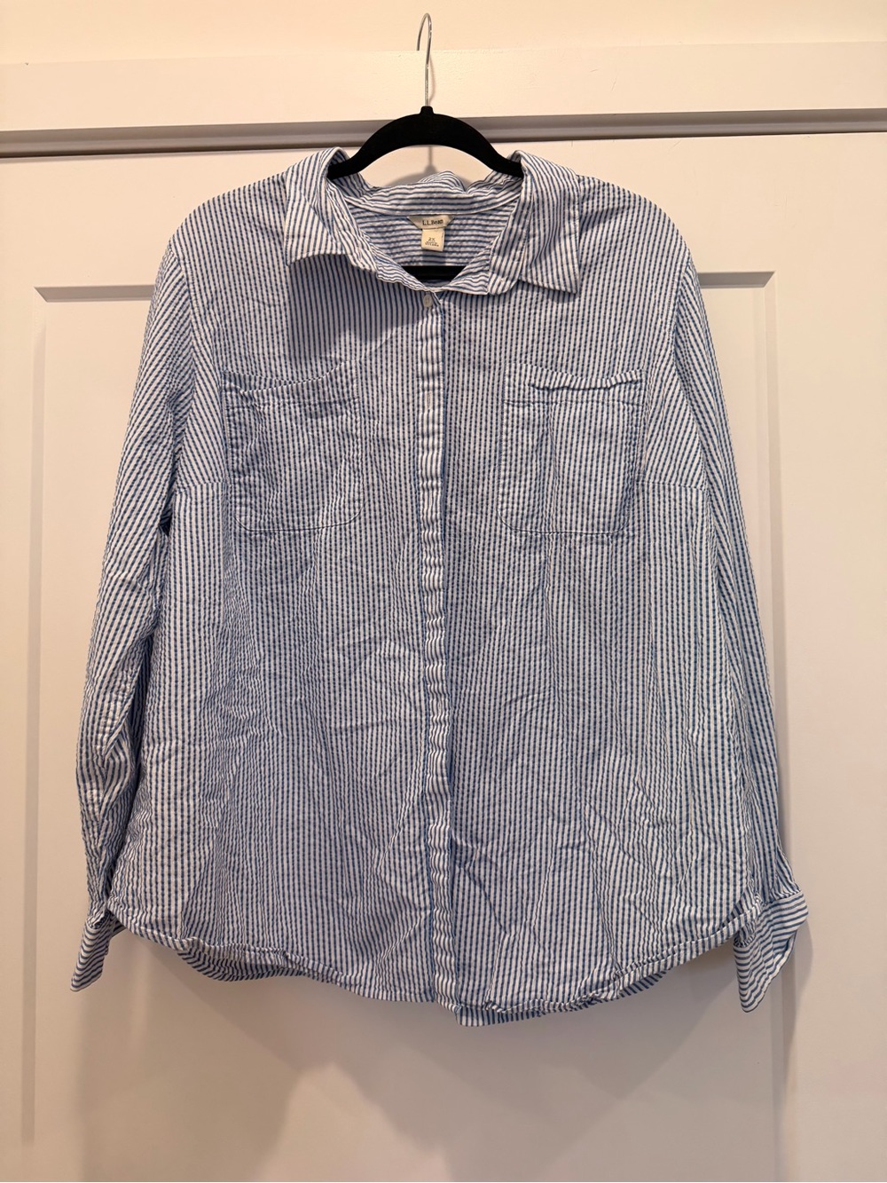L.L. Bean Blue and White Striped Cotton Button-Down Top